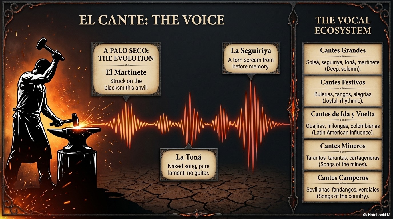 El Cante: the voice — from the anvil's martinete to the naked toná.